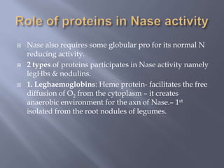  Nase also requires some globular pro for its normal N
reducing activity.
 2 types of proteins participates in Nase activity namely
legHbs & nodulins.
 1. Leghaemoglobins: Heme protein- facilitates the free
diffusion of O2 from the cytoplasm – it creates
anaerobic environment for the axn of Nase.– 1st
isolated from the root nodules of legumes.
 
