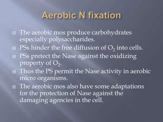  The aerobic mos produce carbohydrates
especially polysaccharides.
 PSs hinder the free diffusion of O2 into cells.
 PSs pretect the Nase against the oxidizing
property of O2.
 Thus the PS permit the Nase activity in aerobic
micro organisms.
 The aerobic mos also have some adaptations
for the protection of Nase against the
damaging agencies in the cell.
 