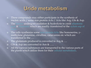  These compounds may either participate in the synthesis of
nucleic acids / some non protein AAs / AAs like Arg, Gln & Asp.
 The purine undergoes oxidation & hydrolysis to yield allantonic
acid & alantonin which are readily transferred to the xylem sap of
roots.
 The cells synthesize some non protein AAs like homoserine, y-
methylene glutamine, citrulline, canavanine etc which are
transferred to the ….
 The glutamate produced is converted to Arg & ….
 Gln & Asp are converted to Asn & …..
 All the various substances are transported to the various parts of
the plants which utilize them for their cellular metabolism.
 