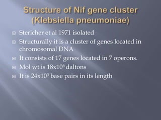  Stericher et al 1971 isolated
 Structurally it is a cluster of genes located in
chromosomal DNA
 It consists of 17 genes located in 7 operons.
 Mol wt is 18x106 daltons
 It is 24x103 base pairs in its length
 
