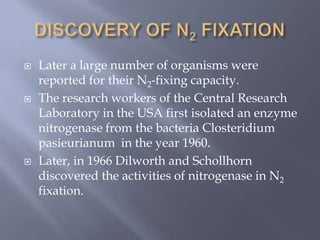  Later a large number of organisms were
reported for their N2-fixing capacity.
 The research workers of the Central Research
Laboratory in the USA first isolated an enzyme
nitrogenase from the bacteria Closteridium
pasieurianum in the year 1960.
 Later, in 1966 Dilworth and Schollhorn
discovered the activities of nitrogenase in N2
fixation.
 