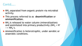 Nitrogen cycle in aquatic ecosystem ...