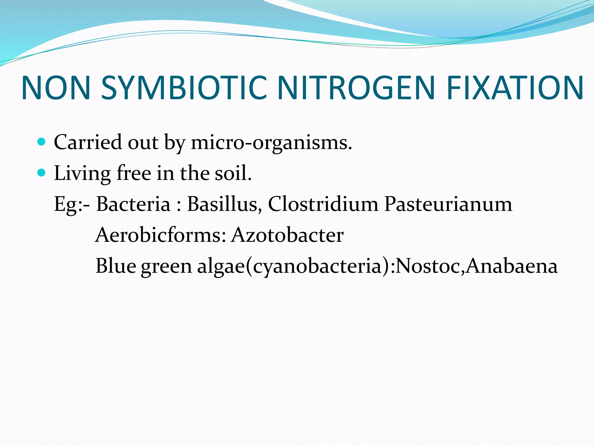 NON SYMBIOTIC NITROGEN FIXATION
 Carried out by micro-organisms.
 Living free in the soil.
Eg:- Bacteria : Basillus, Clostridium Pasteurianum
Aerobicforms: Azotobacter
Blue green algae(cyanobacteria):Nostoc,Anabaena
 