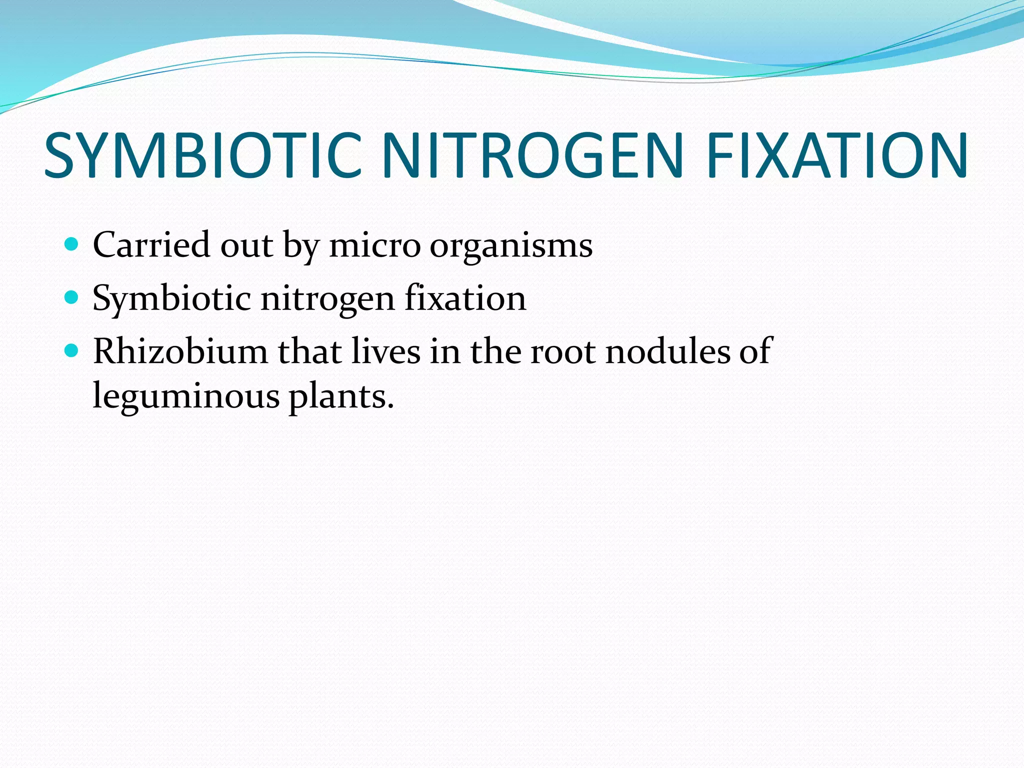 SYMBIOTIC NITROGEN FIXATION
 Carried out by micro organisms
 Symbiotic nitrogen fixation
 Rhizobium that lives in the root nodules of
leguminous plants.
 