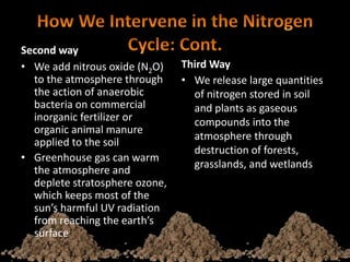 Second way
• We add nitrous oxide (N2O)
to the atmosphere through
the action of anaerobic
bacteria on commercial
inorganic fertilizer or
organic animal manure
applied to the soil
• Greenhouse gas can warm
the atmosphere and
deplete stratosphere ozone,
which keeps most of the
sun’s harmful UV radiation
from reaching the earth’s
surface
Third Way
• We release large quantities
of nitrogen stored in soil
and plants as gaseous
compounds into the
atmosphere through
destruction of forests,
grasslands, and wetlands
 