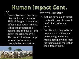 LDC
• Brazil, livestock ranching:
Livestock contributes to
18% of the global warming
effect. Since South America
is huge in production of
agriculture and use of land
alters the nitrogen cycle.
The livestock release large
amounts of ammonia
through their excretions.
• Just like any area, livestock
is raised in order to provide
beef, hides, skins, and
horns.
• Brazil is not trying to fix the
problem nor do they plan
on stopping. They care
more about providing food
for their country more than
the nitrogen cycle.
Why? Will They Stop?
 
