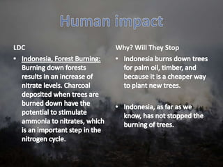 LDC Why? Will They Stop
 