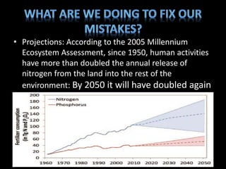 • Projections: According to the 2005 Millennium
Ecosystem Assessment, since 1950, human activities
have more than doubled the annual release of
nitrogen from the land into the rest of the
environment: By 2050 it will have doubled again
 