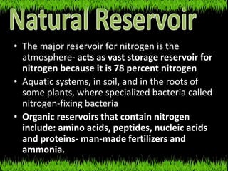 • The major reservoir for nitrogen is the
atmosphere- acts as vast storage reservoir for
nitrogen because it is 78 percent nitrogen
• Aquatic systems, in soil, and in the roots of
some plants, where specialized bacteria called
nitrogen-fixing bacteria
• Organic reservoirs that contain nitrogen
include: amino acids, peptides, nucleic acids
and proteins- man-made fertilizers and
ammonia.
 