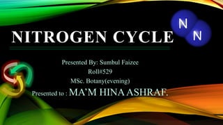NITROGEN CYCLE
Presented By: Sumbul Faizee
Roll#529
MSc. Botany(evening)
Presented to : MA’M HINAASHRAF.
 