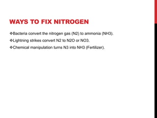 WAYS TO FIX NITROGEN
Bacteria convert the nitrogen gas (N2) to ammonia (NH3).
Lightning strikes convert N2 to N2O or NO3.
Chemical manipulation turns N3 into NH3 (Fertilizer).
 