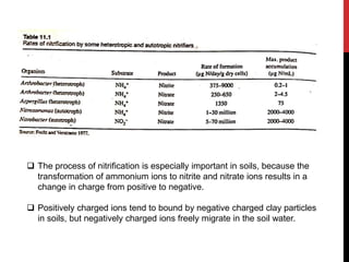  The process of nitrification is especially important in soils, because the
transformation of ammonium ions to nitrite and nitrate ions results in a
change in charge from positive to negative.
 Positively charged ions tend to bound by negative charged clay particles
in soils, but negatively charged ions freely migrate in the soil water.
 