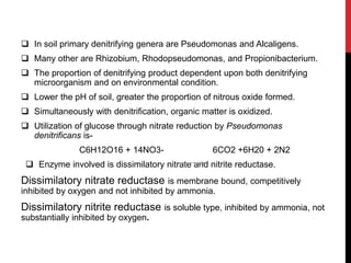  In soil primary denitrifying genera are Pseudomonas and Alcaligens.
 Many other are Rhizobium, Rhodopseudomonas, and Propionibacterium.
 The proportion of denitrifying product dependent upon both denitrifying
microorganism and on environmental condition.
 Lower the pH of soil, greater the proportion of nitrous oxide formed.
 Simultaneously with denitrification, organic matter is oxidized.
 Utilization of glucose through nitrate reduction by Pseudomonas
denitrificans is-
C6H12O16 + 14NO3- 6CO2 +6H20 + 2N2
 Enzyme involved is dissimilatory nitrate and nitrite reductase.
Dissimilatory nitrate reductase is membrane bound, competitively
inhibited by oxygen and not inhibited by ammonia.
Dissimilatory nitrite reductase is soluble type, inhibited by ammonia, not
substantially inhibited by oxygen.
 
