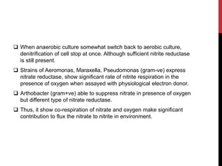  When anaerobic culture somewhat switch back to aerobic culture,
denitrification of cell stop at once. Although sufficient nitrite reductase
is still present.
 Strains of Aeromonas, Maraxella, Pseudomonas (gram-ve) express
nitrate reductase, show significant rate of nitrite respiration in the
presence of oxygen when assayed with physiological electron donor.
 Arthobacter (gram+ve) able to suppress nitrate in presence of oxygen
but different type of nitrate reductase.
 Thus, it show co-respiration of nitrate and oxygen make significant
contribution to flux the nitrate to nitrite in environment.
 