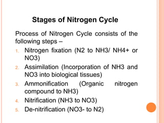 Nitrogen cycle | PPTX