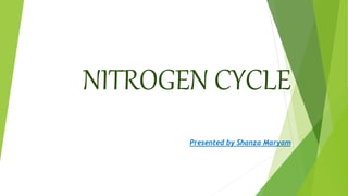 NITROGEN CYCLE
Presented by Shanza Maryam
 