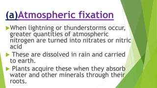 (a)Atmospheric fixation:
When lightning or thunderstorms occur,
greater quantities of atmospheric
nitrogen are turned into nitrates or nitric
acid
 These are dissolved in rain and carried
to earth.
 Plants acquire these when they absorb
water and other minerals through their
roots.
 