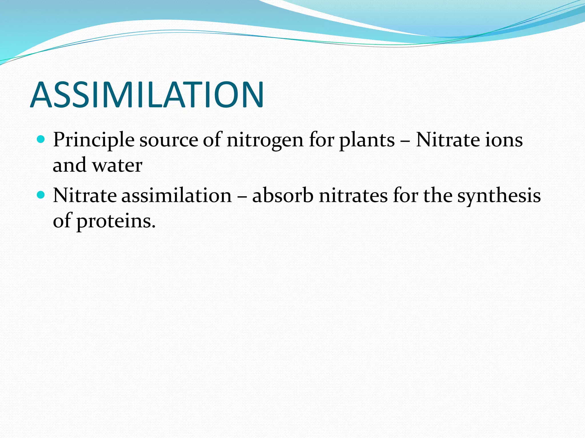 ASSIMILATION
 Principle source of nitrogen for plants – Nitrate ions
and water
 Nitrate assimilation – absorb nitrates for the synthesis
of proteins.
 