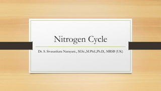 Nitrogen Cycle
Dr. S. Sivasankara Narayani., M.Sc.,M.Phil.,Ph.D., MRSB (UK)
 