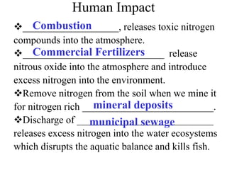 Human Impact
___________________, releases toxic nitrogen
compounds into the atmosphere.
____________________________ release
nitrous oxide into the atmosphere and introduce
excess nitrogen into the environment.
Remove nitrogen from the soil when we mine it
for nitrogen rich __________________________.
Discharge of ___________________________
releases excess nitrogen into the water ecosystems
which disrupts the aquatic balance and kills fish.
Combustion
Commercial Fertilizers
mineral deposits
municipal sewage
 