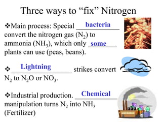 Three ways to “fix” Nitrogen
Main process: Special ____________
convert the nitrogen gas (N2) to
ammonia (NH3), which only ________
plants can use (peas, beans).
_________________ strikes convert
N2 to N2O or NO3.
Industrial production. ____________
manipulation turns N2 into NH3
(Fertilizer)
bacteria
some
Lightning
Chemical
 