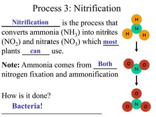 Process 3: Nitrification
_______________ is the process that
converts ammonia (NH3) into nitrites
(NO2) and nitrates (NO3) which ____
plants _______ use.
Note: Ammonia comes from ______
nitrogen fixation and ammonification
How is it done?
_____________________
N
N
N
H
H
H
O O
O
O O
Nitrification
most
can
Both
Bacteria!
 