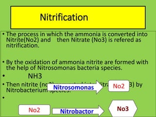 Nitrification
• The process in which the ammonia is converted into
Nitrite(No2) and then Nitrate (No3) is refered as
nitrification.
• By the oxidation of ammonia nitrite are formed with
the help of Nitrosomonas bacteria species.
• NH3
• Then nitrite (no2) converted into Nitrates (no3) by
Nitrobacterium species.
•
Nitrosomonas No2
No2 Nitrobactor No3
 