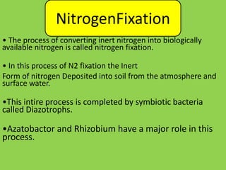 Nitrogen fixation
NitrogenFixation
• The process of converting inert nitrogen into biologically
available nitrogen is called nitrogen fixation.
• In this process of N2 fixation the Inert
Form of nitrogen Deposited into soil from the atmosphere and
surface water.
•This intire process is completed by symbiotic bacteria
called Diazotrophs.
•Azatobactor and Rhizobium have a major role in this
process.
 