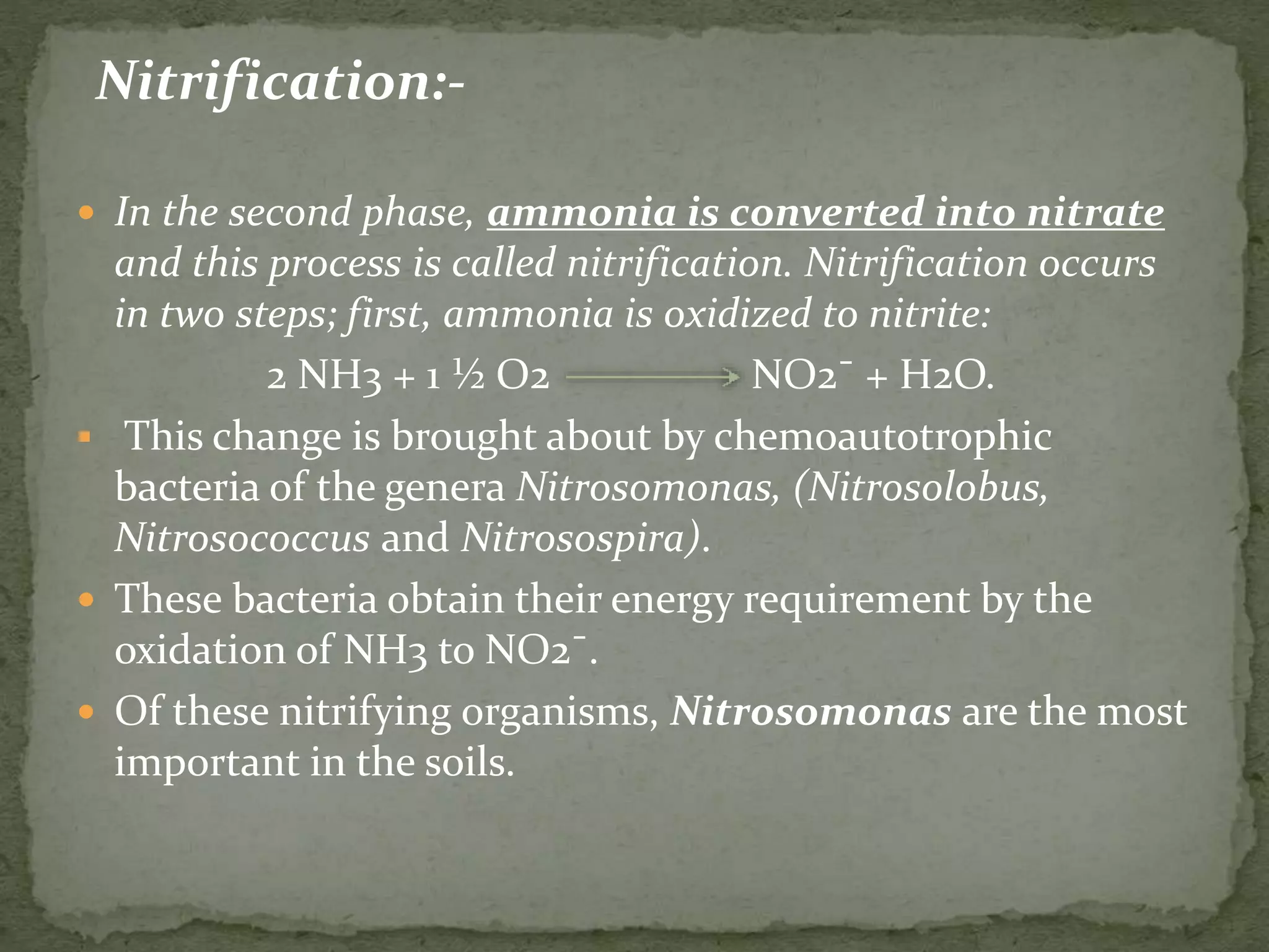 Nitrification:-
 In the second phase, ammonia is converted into nitrate
and this process is called nitrification. Nitrification occurs
in two steps; first, ammonia is oxidized to nitrite:
2 NH3 + 1 ½ O2 NO2¯ + H2O.
 This change is brought about by chemoautotrophic
bacteria of the genera Nitrosomonas, (Nitrosolobus,
Nitrosococcus and Nitrosospira).
 These bacteria obtain their energy requirement by the
oxidation of NH3 to NO2¯.
 Of these nitrifying organisms, Nitrosomonas are the most
important in the soils.
 