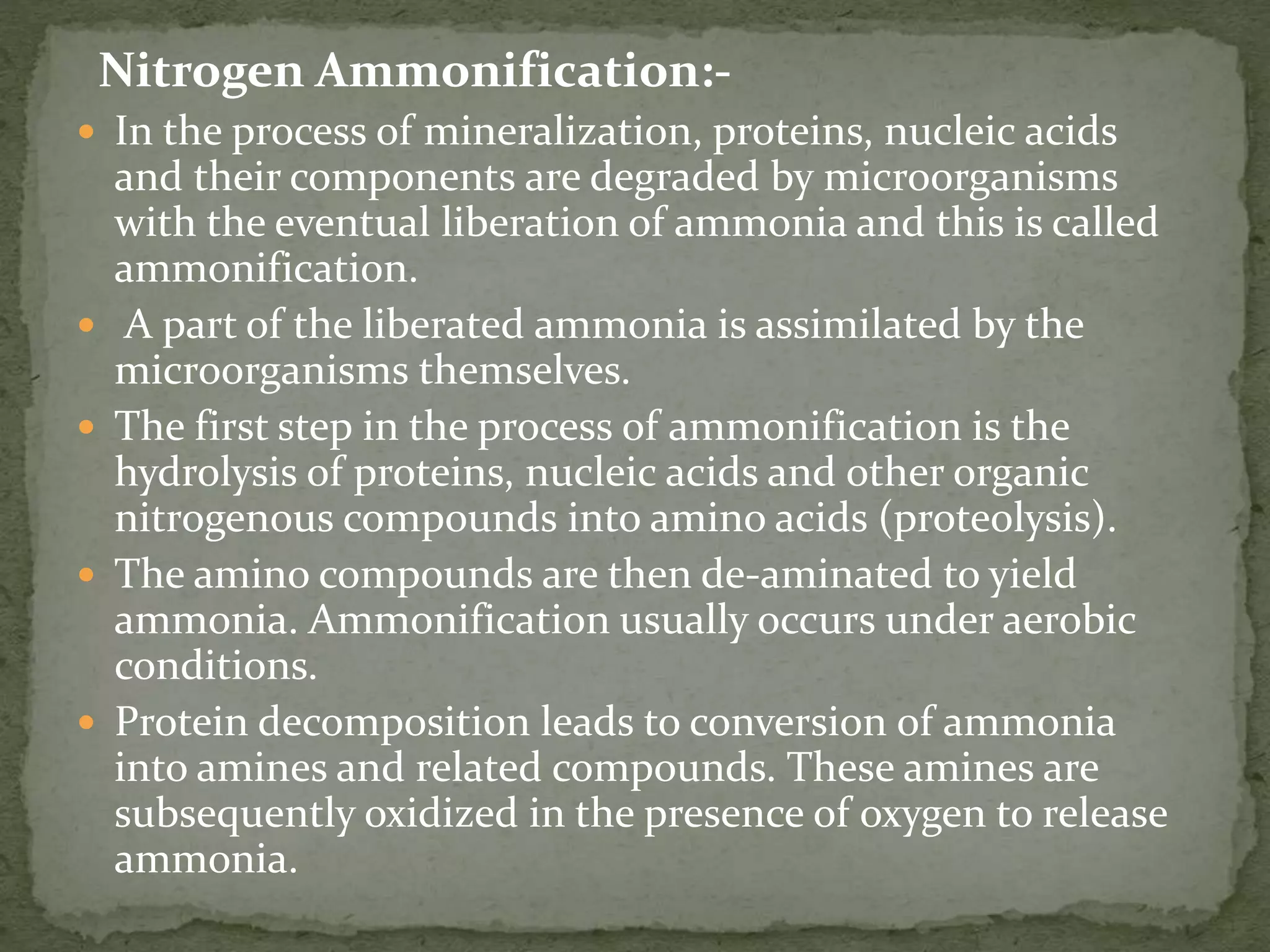 Nitrogen Ammonification:-
 In the process of mineralization, proteins, nucleic acids
and their components are degraded by microorganisms
with the eventual liberation of ammonia and this is called
ammonification.
 A part of the liberated ammonia is assimilated by the
microorganisms themselves.
 The first step in the process of ammonification is the
hydrolysis of proteins, nucleic acids and other organic
nitrogenous compounds into amino acids (proteolysis).
 The amino compounds are then de-aminated to yield
ammonia. Ammonification usually occurs under aerobic
conditions.
 Protein decomposition leads to conversion of ammonia
into amines and related compounds. These amines are
subsequently oxidized in the presence of oxygen to release
ammonia.
 