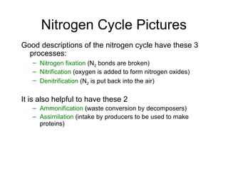 Nitrogen Cycle Pictures
Good descriptions of the nitrogen cycle have these 3
processes:
– Nitrogen fixation (N2 bonds are broken)
– Nitrification (oxygen is added to form nitrogen oxides)
– Denitrification (N2 is put back into the air)
It is also helpful to have these 2
– Ammonification (waste conversion by decomposers)
– Assimilation (intake by producers to be used to make
proteins)
 