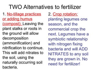 TWO Alternatives to fertilizer
1. No-tillage practices
or adding humus
(compost): Leaving the
plant stalks or roots in
the ground will allow
decomposition
(ammonification) and
nitrification to continue.
This will add nitrates to
the soil, using the
naturally occurring soil
bacteria.
2. Crop rotation:
planting legumes one
season, and the
commercial crop the
next. Legumes have a
symbiotic relationship
with nitrogen fixing
bacteria and will ADD
NITRATES to any soil
they are grown in. No
need for fertilizer!
 