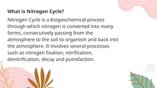 Nitrogen Cycle ppt on nitrogen cycle good | PPTX