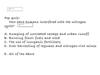 Pop quiz:       How have humans interfered with the nitrogen cycle?   A. Dumping of untreated sewage and urban runoff  B. Burning fossil fuels and wood  C. The use of inorganic fertilizers  D. Over harvesting of legumes and nitrogen-rich mines  E. All of the above 