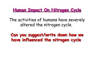 Human Impact On Nitrogen Cycle The activities of humans have severely altered the nitrogen cycle.  Can you suggest/write down how we have influenced the nitrogen cycle  