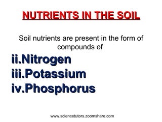NUTRIENTS IN THE SOIL Soil nutrients are present in the form of compounds of  Nitrogen Potassium  Phosphorus www.sciencetutors.zoomshare.com 