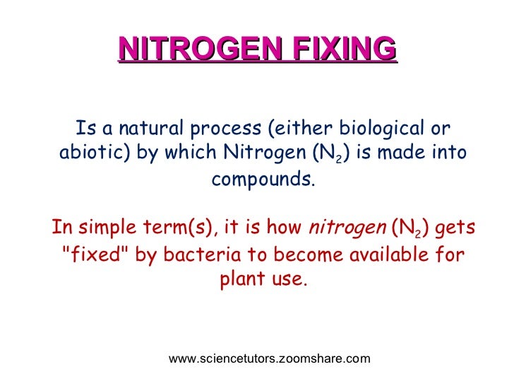 NITROGEN CYCLE AND FIXING