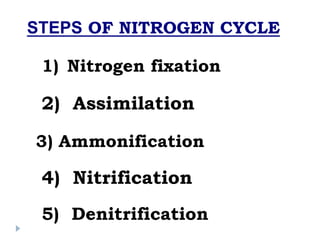 Nitrogen cycle by Himanshu Asati | PDF