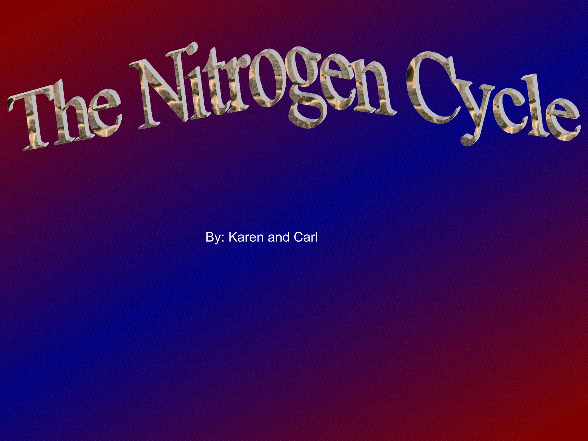 By: Karen and Carl The Nitrogen Cycle 