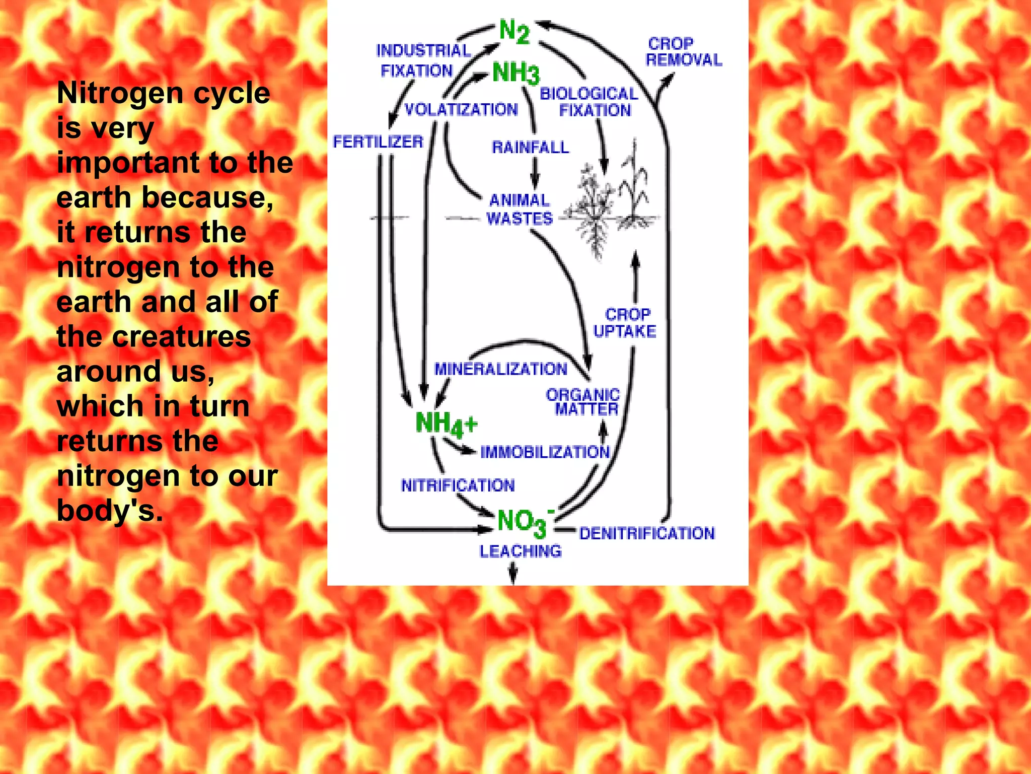 Nitrogen cycle is very important to the earth because, it returns the nitrogen to the earth and all of the creatures around us, which in turn returns the nitrogen to our body's.  
