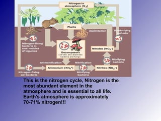 This is the nitrogen cycle, Nitrogen is the most abundant element in the atmosphere and is essential to all life. Earth's atmosphere is approximately 70-71% nitrogen!!!  