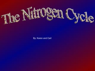 By: Karen and Carl The Nitrogen Cycle 