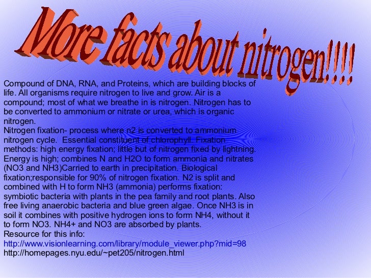 Nitrogen Cycle Powerpoint