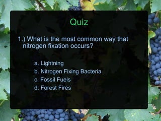Quiz 1.) What is the most common way that nitrogen fixation occurs? a. Lightning b. Nitrogen Fixing Bacteria c. Fossil Fuels d. Forest Fires 