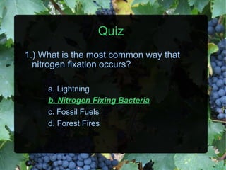 Quiz 1.) What is the most common way that nitrogen fixation occurs? a. Lightning b. Nitrogen Fixing Bacteria c. Fossil Fuels d. Forest Fires 