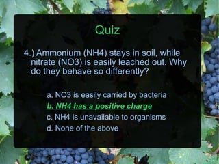 Quiz 4.) Ammonium (NH4) stays in soil, while nitrate (NO3) is easily leached out. Why do they behave so differently? a. NO3 is easily carried by bacteria b. NH4 has a positive charge c. NH4 is unavailable to organisms d. None of the above 