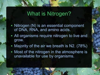 What is Nitrogen? Nitrogen (N) is an essential component of DNA, RNA, and amino acids. All organisms require nitrogen to live and grow. Majority of the air we breath is N2. (78%) Most of the nitrogen in the atmosphere is unavailable for use by organisms. 