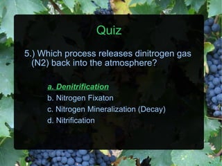 Quiz 5.) Which process releases dinitrogen gas (N2) back into the atmosphere? a. Denitrification b. Nitrogen Fixaton c. Nitrogen Mineralization (Decay) d. Nitrification 