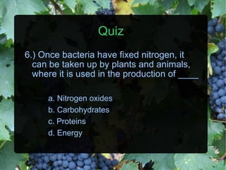 Quiz 6.) Once bacteria have fixed nitrogen, it can be taken up by plants and animals, where it is used in the production of ____ a. Nitrogen oxides b. Carbohydrates c. Proteins d. Energy 