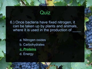 Quiz 6.) Once bacteria have fixed nitrogen, it can be taken up by plants and animals, where it is used in the production of ____ a. Nitrogen oxides b. Carbohydrates c. Proteins d. Energy 